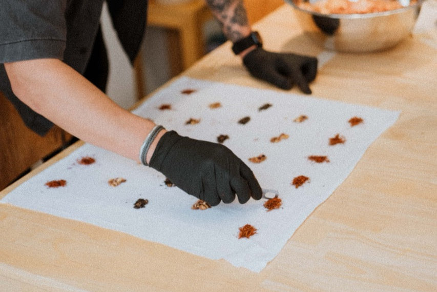 Naturfärben als Team-Event – Im Cosmaki Atelier