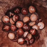 Überfärbeservice Pfirsichblüte (Avocado)