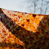 Team-Event Naturfärben – Kreativer Workshop für Unternehmen & Gruppen