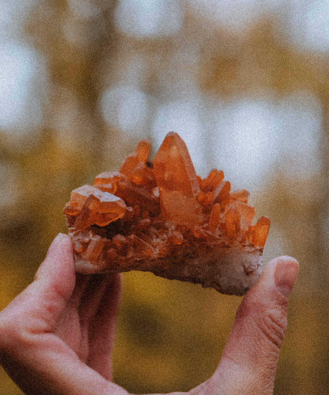 Mandarin Quartz M