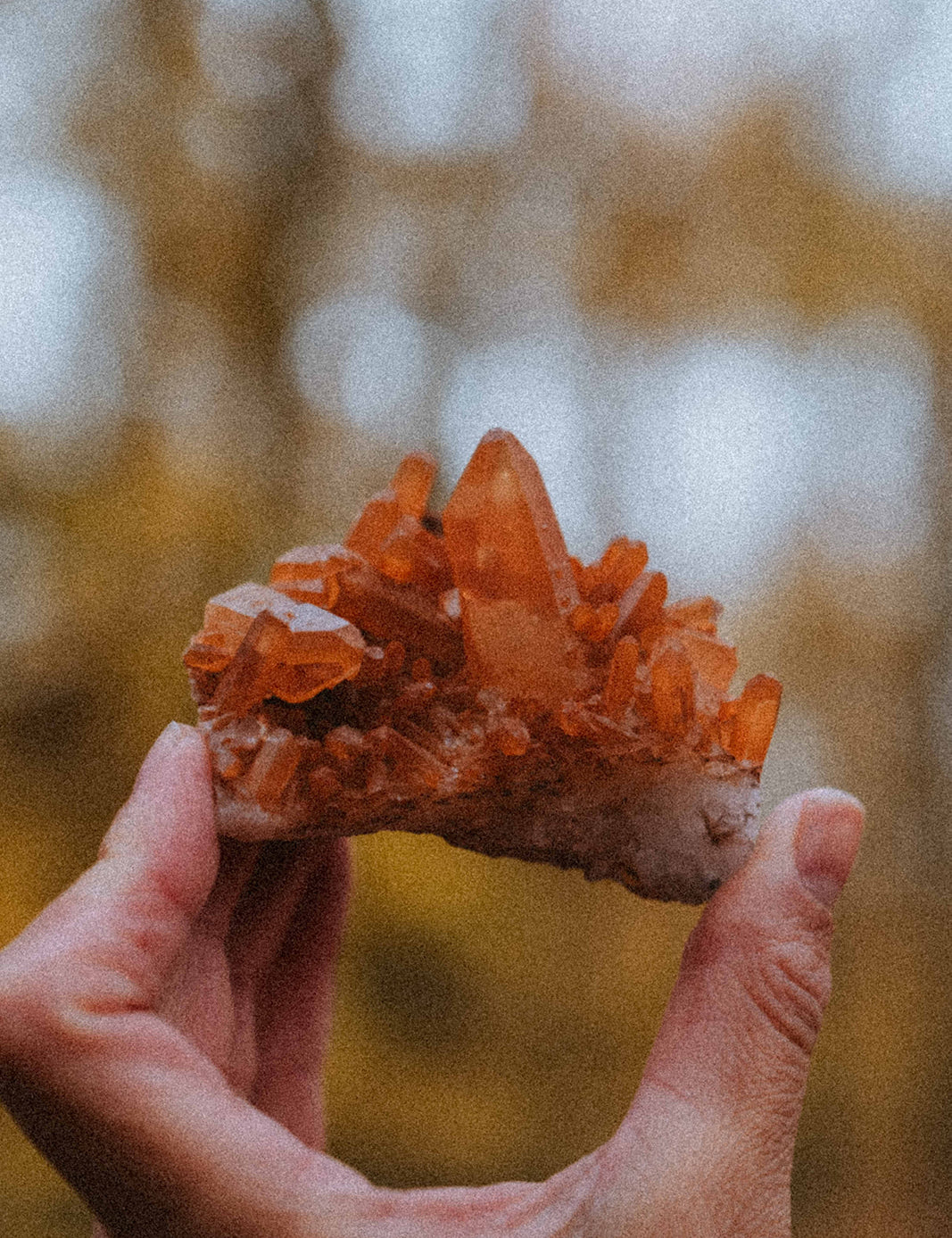 Mandarinquarz M