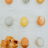 Gemeinsames Ostereierfärben mit Naturfarben - 22.03./23.03